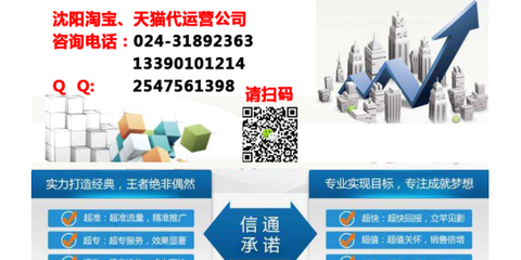沈陽電商代運(yùn)營(yíng) 一站式解決方案助力企業(yè)電子商務(wù)騰飛
